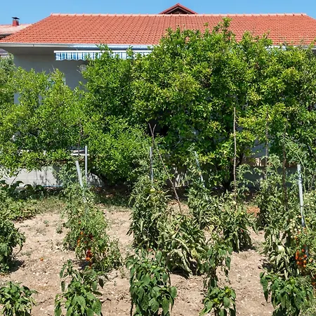 Seaside House Kastel Stafilic, - 22438 Holiday home